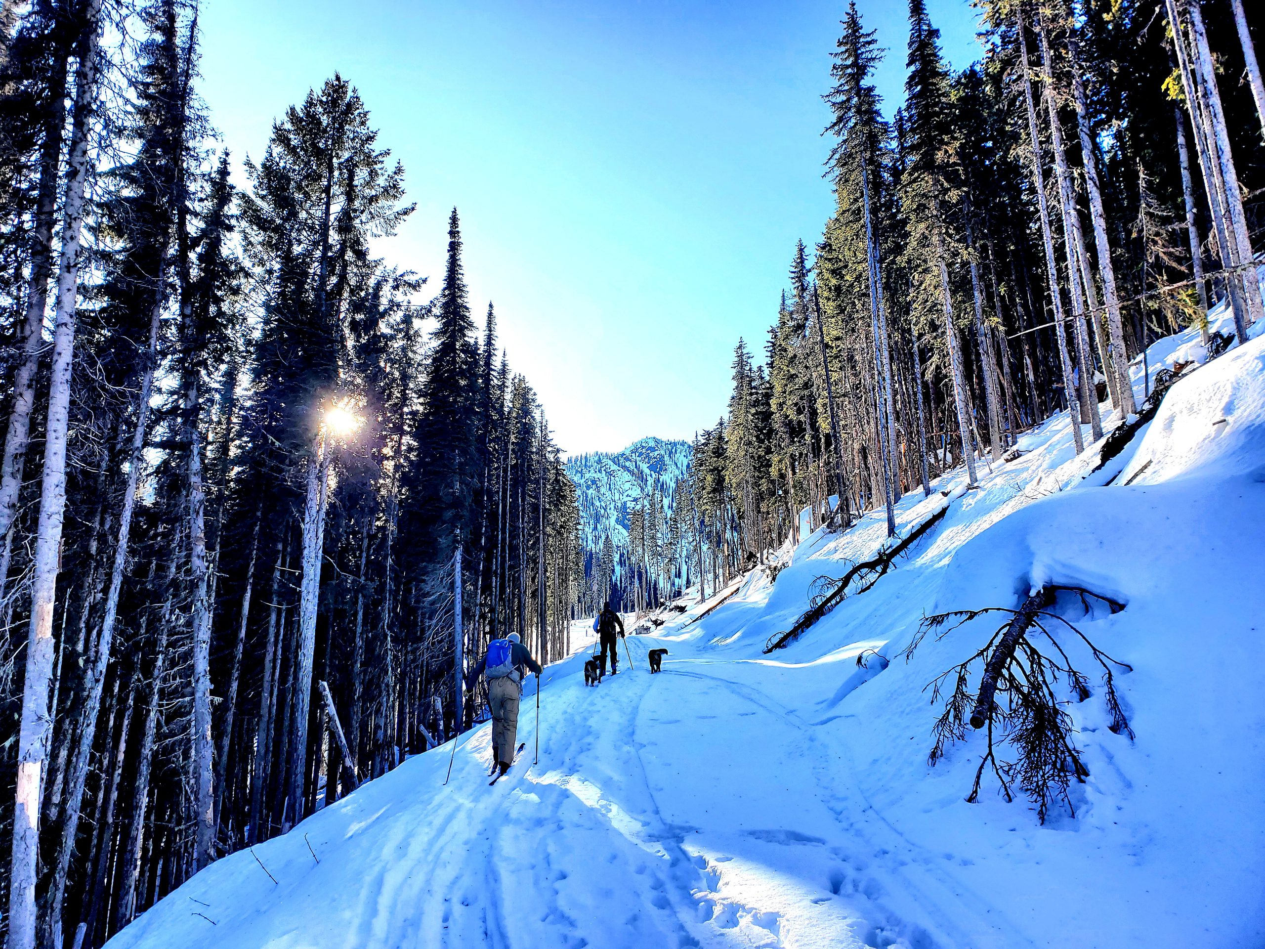 Ski Touring